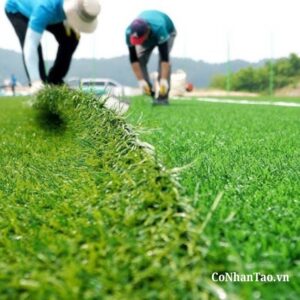 Quy trình thi công sân bóng cỏ nhân tạo