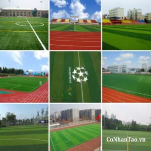 Ứng dụng của Cỏ nhân tạo sân bóng HNC 38D1308