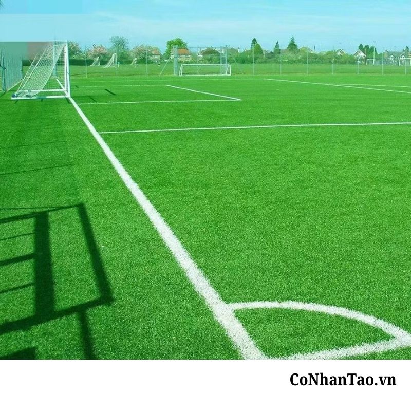 Lợi ích khi sử dụng cỏ nhân tạo sân bóng
