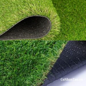 Tại sao nên chọn cỏ nhân tạo HNC 550 không hạt cao su?