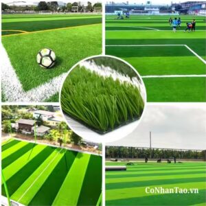 Ứng dụng của cỏ nhân tạo sân bóng HNC 550