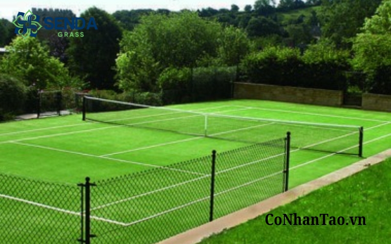 Xu hướng sử dụng cỏ nhân tạo cho sân tennis năm 2026