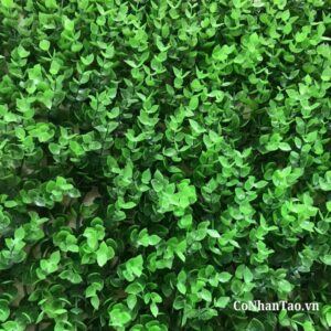 Vì sao bạn nên chọn mua tại CoNhanTao.vn?