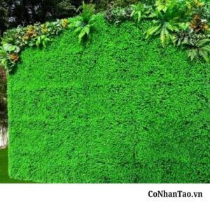 Ứng dụng đa dạng của cỏ tai chuột trong đời sống