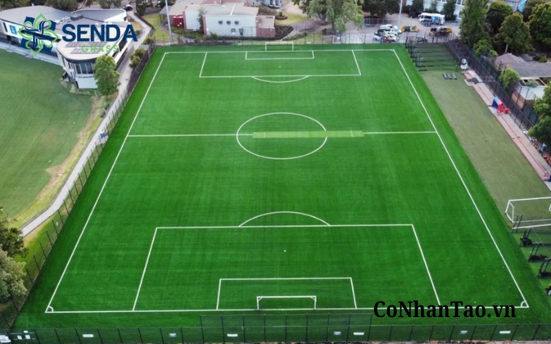 Cỏ nhân tạo sân bóng đá
